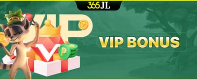 VIP Bonus Program